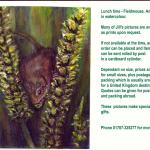 FieldMse-Animals-WEB0704