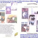 FocusFelines1-Animals-WEB0704